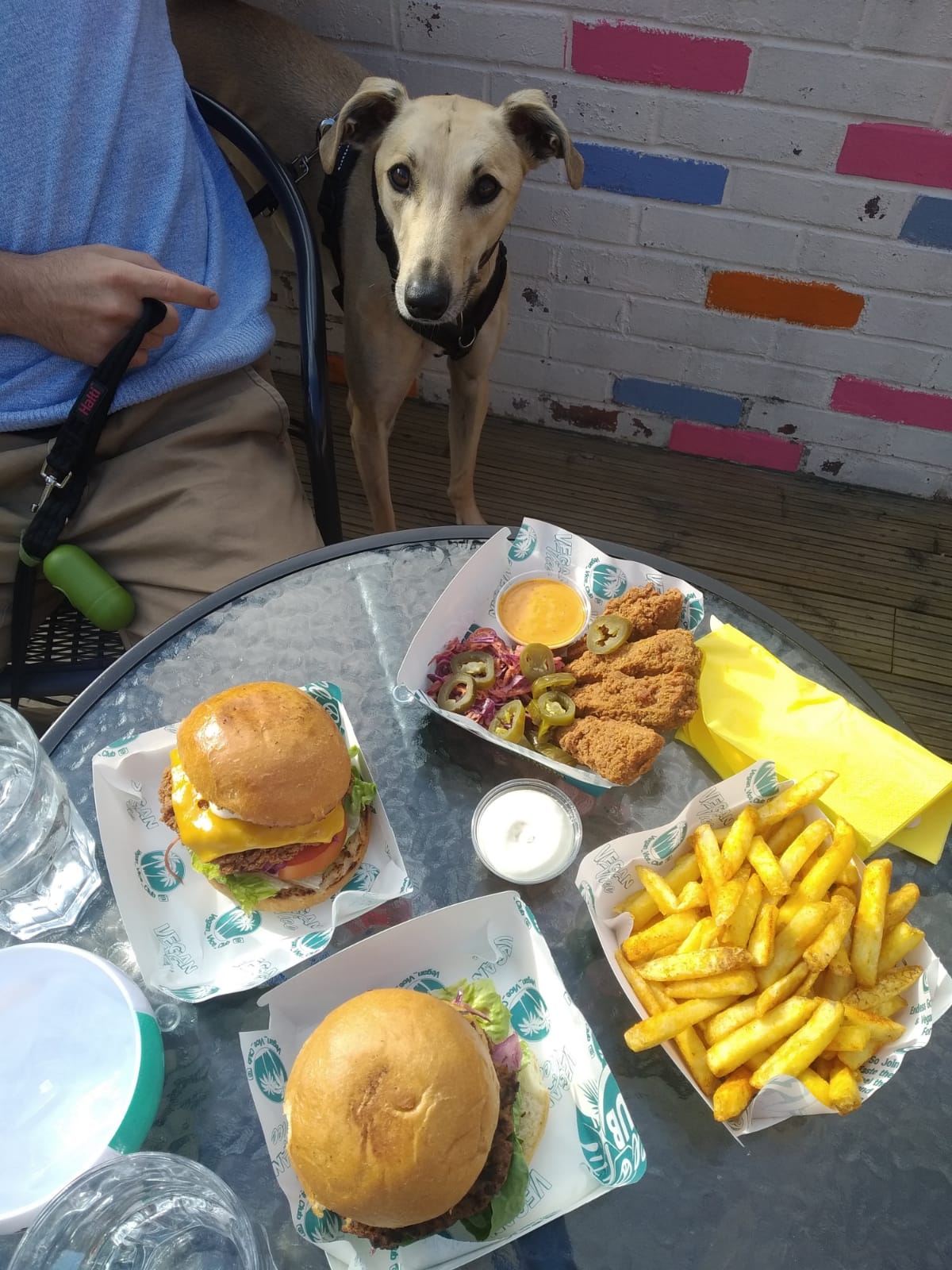 A photo of Vegan Vice burgers and sides.