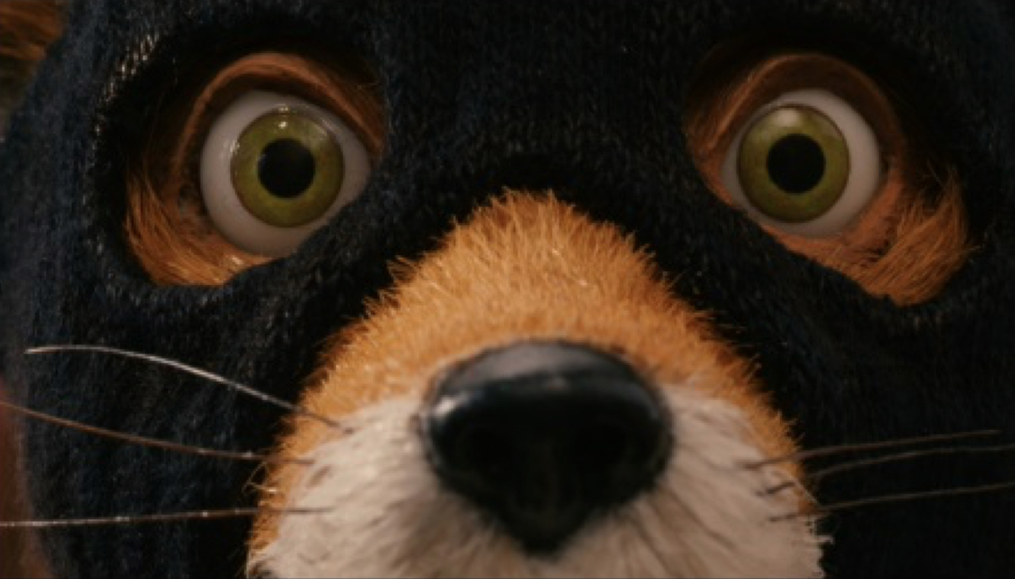 Still image from Fantastic Mr Fox.
