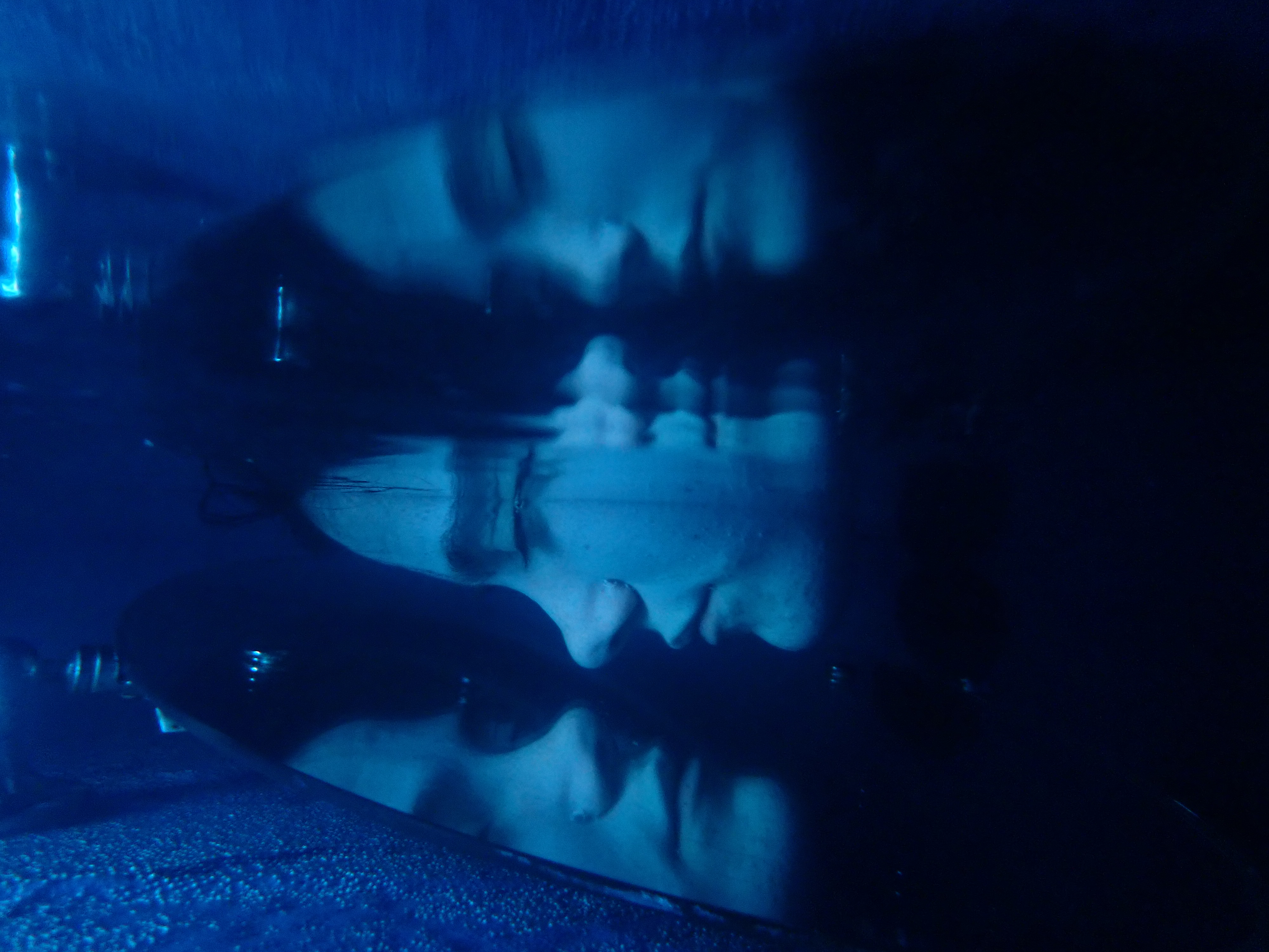 Image by Kayleigh Reed.