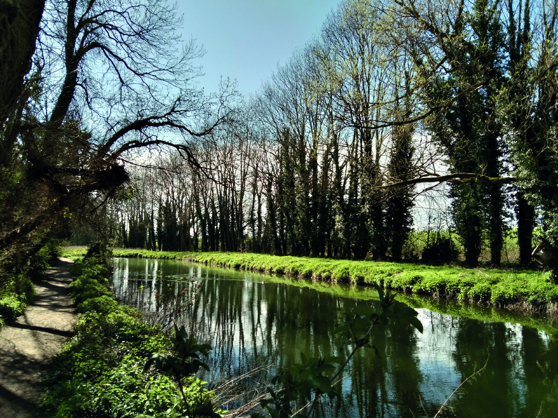 Grantchester Meadows