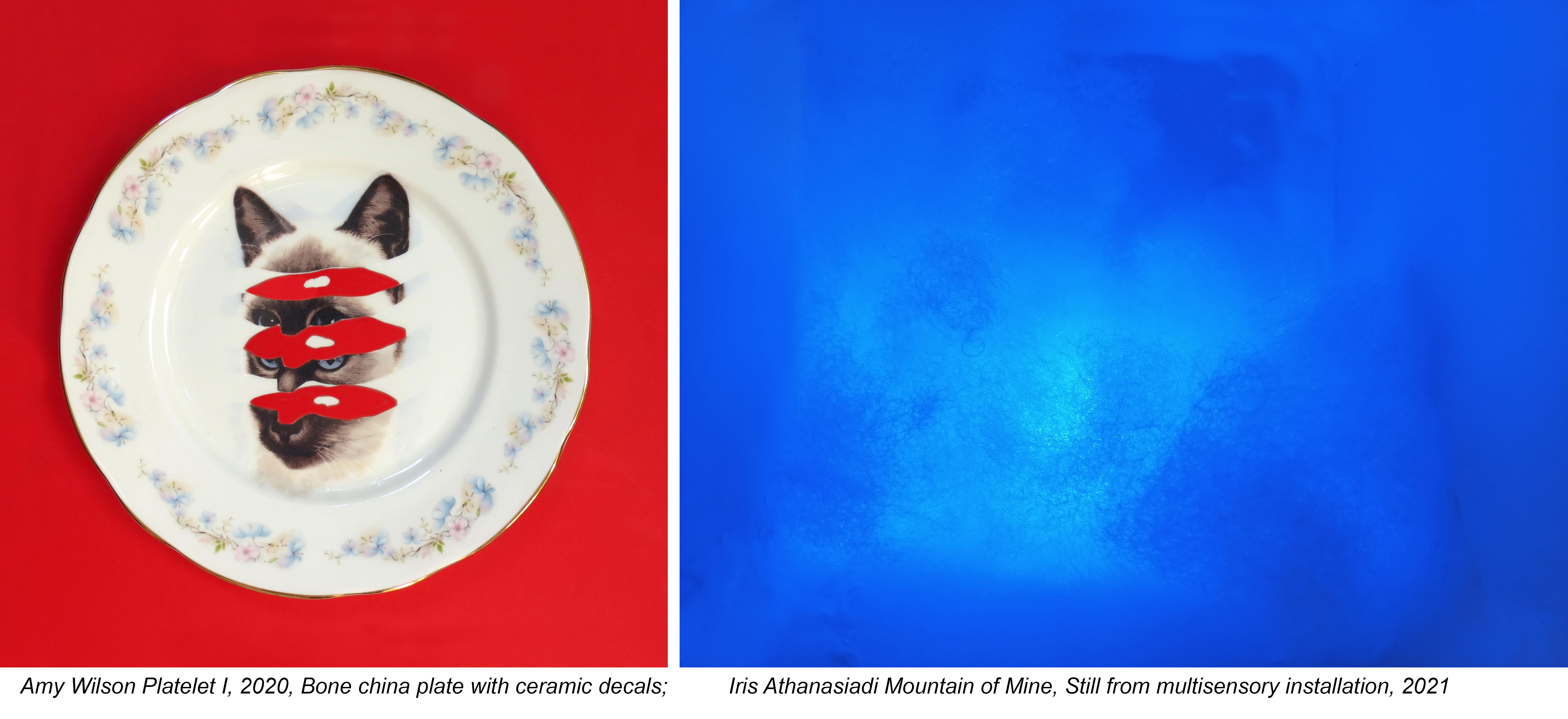 Amy J Wilson: Platelet I, 2020, Bone China place with ceramic decals; Iris Athanasiadi: Mountain of Mine, still from multisensoryinstallation, 2021.
