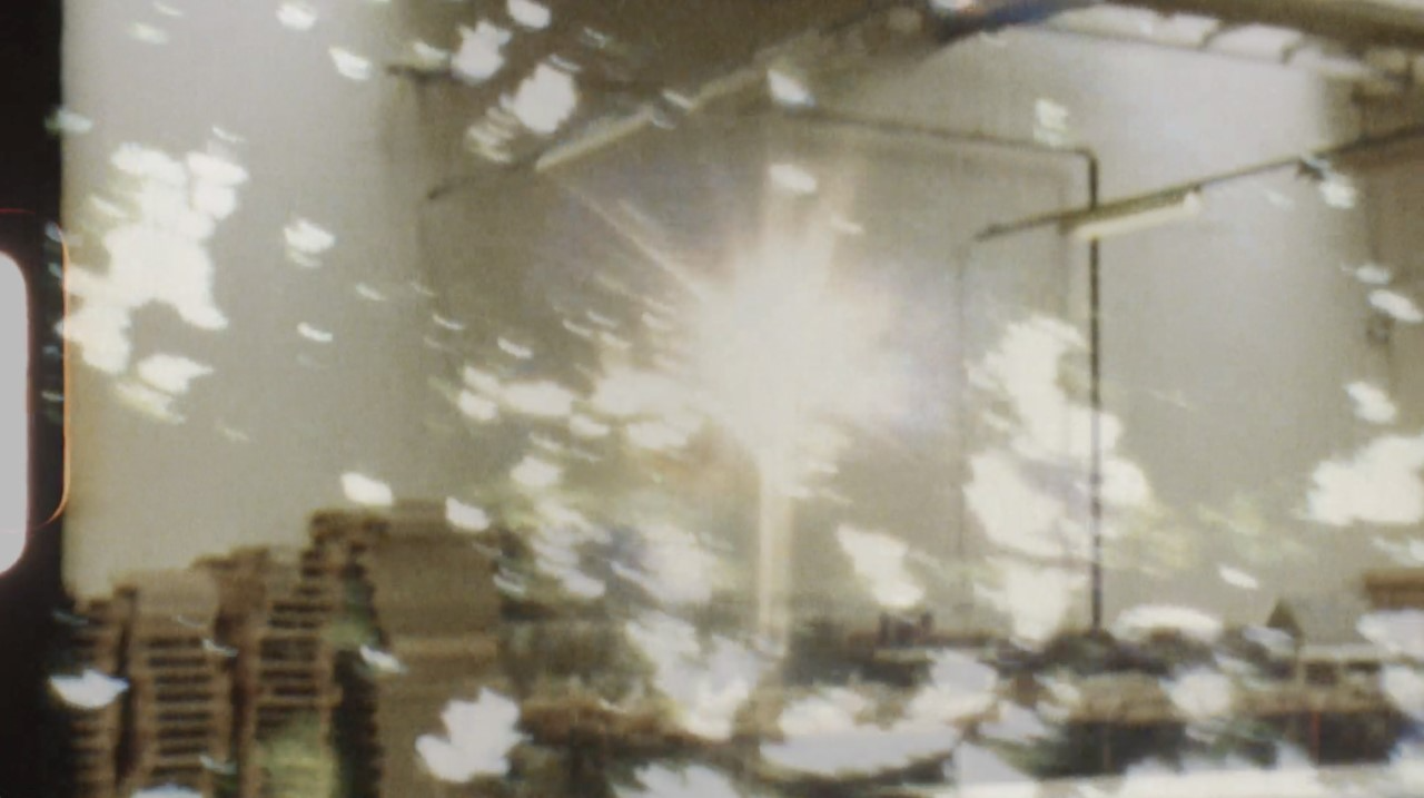 Shezad Dawood, Golden Apples of the Sun, 2021, Super 8 transferred to HD. Commissioned by Homerton College, Cambridge. With musical score by Teresa Winter. 4:26 secs