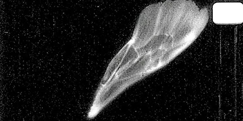 Film Talks Live: Cathy Rogers & Vicky Smith